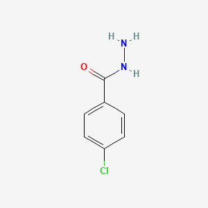 molecular formula C7H7ClN2O B1581245 4-氯苯甲酰肼 CAS No. 536-40-3