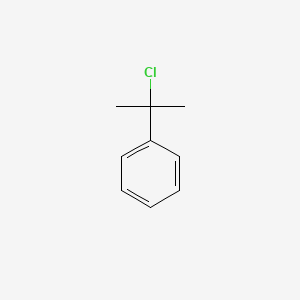 molecular formula C9H11Cl B1581794 (1-Chloro-1-methylethyl)benzene CAS No. 934-53-2