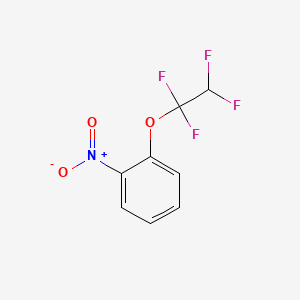 molecular formula C8H5F4NO3 B1582865 α,α,β,β-四氟-邻硝基苯乙醚 CAS No. 28202-31-5