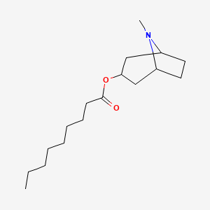 molecular formula C17H31NO2 B1583511 壬酸托品酯 CAS No. 146018-90-8