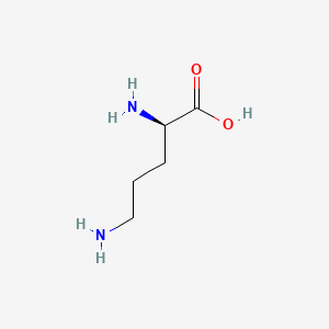 molecular formula C5H12N2O2 B1583779 D-ornithine CAS No. 348-66-3
