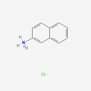 molecular formula C10H10ClN B1584525 2-萘胺氯化物 CAS No. 612-52-2