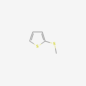 molecular formula C5H6S2 B1585591 2-(甲硫基)噻吩 CAS No. 5780-36-9