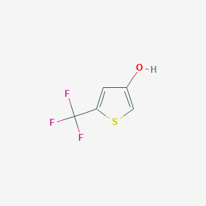 molecular formula C5H3F3OS B1585717 4-羟基-2-(三氟甲基)噻吩 CAS No. 217959-45-0