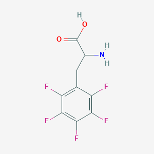 B1585883 2-amino-3-(2,3,4,5,6-pentafluorophenyl)propanoic Acid CAS No. 3321-96-8