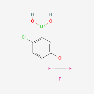 B1586374 2-Chloro-5-(trifluoromethoxy)phenylboronic acid CAS No. 1022922-16-2