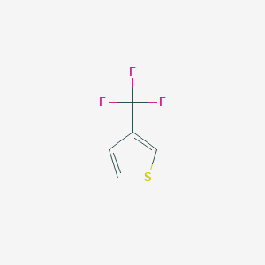 molecular formula C5H3F3S B1586441 3-(三氟甲基)噻吩 CAS No. 86093-77-8