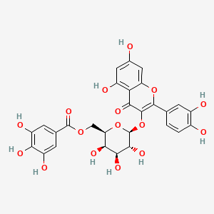 molecular formula C28H24O16 B1588129 槲皮素-3-O-(6''-没食酰基)-β-D-半乳糖吡喃苷 CAS No. 53171-28-1