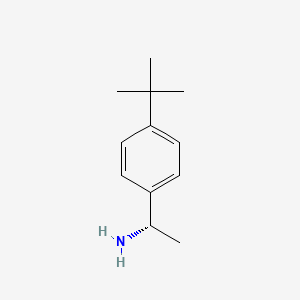 molecular formula C12H19N B1588400 (S)-1-(4-tert-butylphenyl)ethanamine CAS No. 511256-37-4