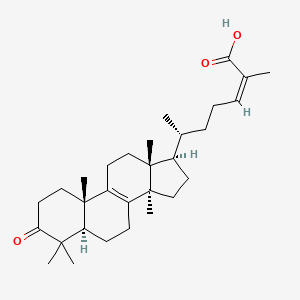 molecular formula C30H46O3 B1588636 安五味子酸 CAS No. 117020-59-4