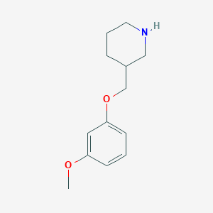 molecular formula C13H19NO2 B1588644 3-[(3-甲氧基苯氧基)甲基]哌啶 CAS No. 405062-73-9