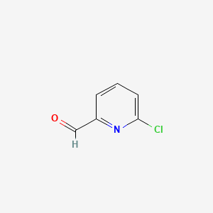 molecular formula C6H4ClNO B1588816 6-氯吡啶-2-甲醛 CAS No. 54087-03-5