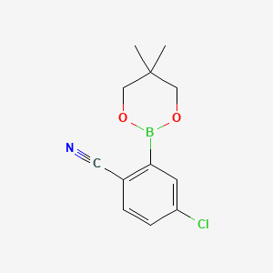molecular formula C12H13BClNO2 B1589290 4-氯-2-(5,5-二甲基-1,3,2-二氧杂硼环-2-基)苯甲腈 CAS No. 883898-93-9