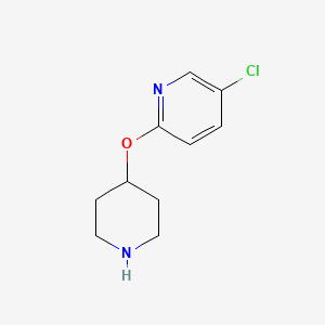 molecular formula C10H13ClN2O B1589515 5-氯-2-(哌啶-4-氧基)吡啶 CAS No. 260441-44-9