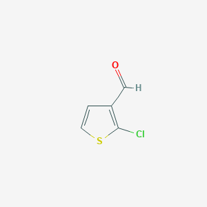 molecular formula C5H3ClOS B1590205 2-氯噻吩-3-甲醛 CAS No. 14345-98-3