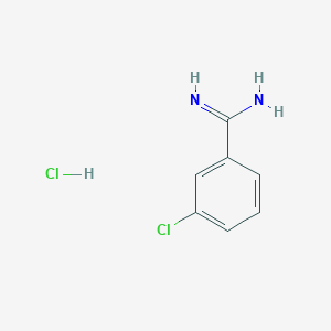 molecular formula C7H8Cl2N2 B1590436 3-氯苯甲 amidine 盐酸盐 CAS No. 24095-60-1