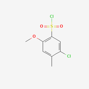 molecular formula C8H8Cl2O3S B1591179 5-氯-2-甲氧基-4-甲基苯磺酰氯 CAS No. 889939-48-4