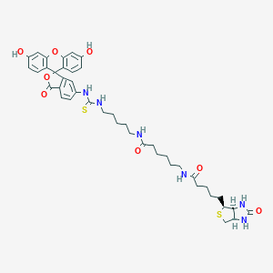 molecular formula C42H50N6O8S2 B159124 荧光素生物素 CAS No. 134759-22-1