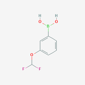 molecular formula C7H7BF2O3 B1591274 (3-(二氟甲氧基)苯基)硼酸 CAS No. 866607-09-2