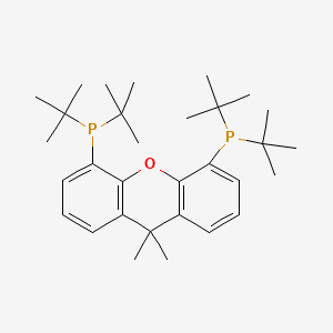 molecular formula C31H48OP2 B1591383 9,9-二甲基-4,5-双(二叔丁基膦)氧杂蒽 CAS No. 856405-77-1