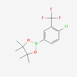 B1591390 2-(4-Chloro-3-(trifluoromethyl)phenyl)-4,4,5,5-tetramethyl-1,3,2-dioxaborolane CAS No. 445303-09-3