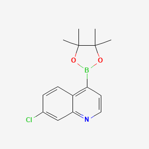 molecular formula C15H17BClNO2 B1591449 7-氯-4-(4,4,5,5-四甲基-1,3,2-二氧杂硼环-2-基)喹啉 CAS No. 871125-83-6