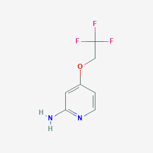molecular formula C7H7F3N2O B1591479 4-(2,2,2-Trifluoroethoxy)pyridin-2-amine CAS No. 1379361-82-6