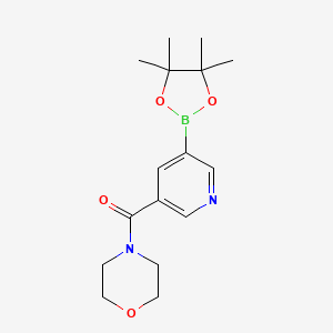 molecular formula C16H23BN2O4 B1591621 吗啉代(5-(4,4,5,5-四甲基-1,3,2-二氧杂硼环-2-基)吡啶-3-基)甲酮 CAS No. 1073371-92-2