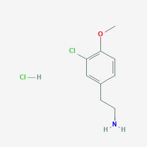 molecular formula C9H13Cl2NO B1591647 3-氯-4-甲氧基苯乙胺盐酸盐 CAS No. 7569-60-0