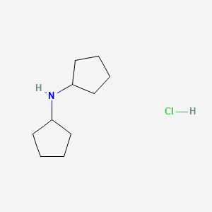 molecular formula C10H20ClN B1591694 Dicyclopentyl-amine hydrochloride CAS No. 69053-83-4