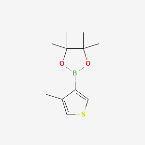 molecular formula C11H17BO2S B1591712 4,4,5,5-Tetrametil-2-(4-metiltiofen-3-il)-1,3,2-dioxaborolano CAS No. 476620-20-9