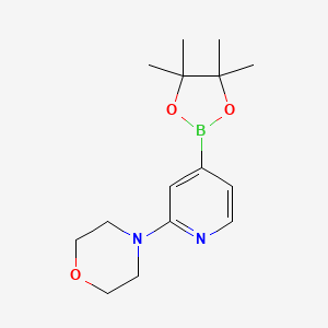 molecular formula C15H23BN2O3 B1592149 4-(4-(4,4,5,5-四甲基-1,3,2-二氧杂硼环-2-基)吡啶-2-基)吗啉 CAS No. 888721-86-6