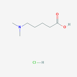 molecular formula C7H16ClNO2 B1592401 5-(二甲氨基)戊酸盐酸盐 CAS No. 25726-28-7