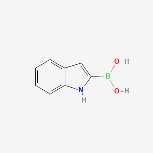molecular formula C8H8BNO2 B1592563 1H-Indol-2-ylboronic acid CAS No. 220396-46-3