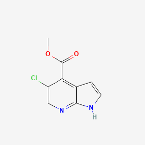 molecular formula C9H7ClN2O2 B1592977 5-氯-1H-吡咯并[2,3-b]吡啶-4-羧酸甲酯 CAS No. 1015609-99-0