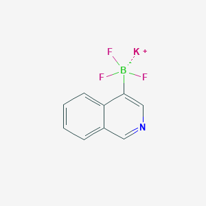molecular formula C9H6BF3KN B1592984 三氟（异喹啉-4-基）硼酸钾 CAS No. 1111733-07-3