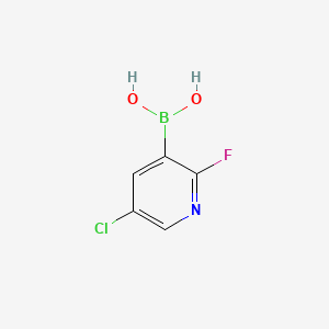 molecular formula C5H4BClFNO2 B1593403 5-氯-2-氟吡啶-3-硼酸 CAS No. 937595-70-5