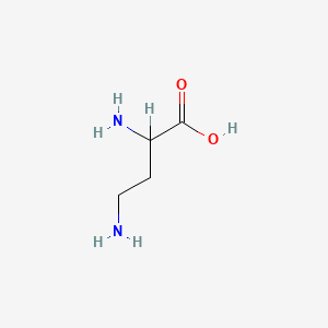 molecular formula C4H10N2O2 B1594033 2,4-二氨基丁酸 CAS No. 305-62-4
