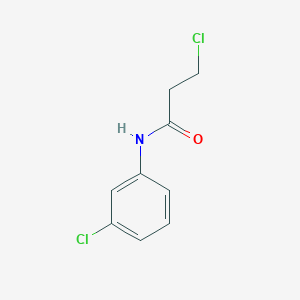 molecular formula C9H9Cl2NO B1594473 3-氯-N-(3-氯苯基)丙酰胺 CAS No. 99585-98-5