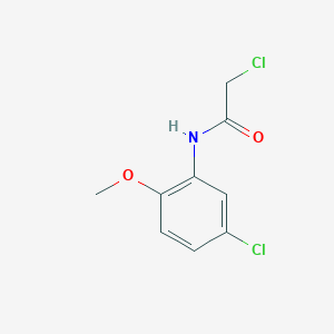 molecular formula C9H9Cl2NO2 B1594869 2-氯-N-(5-氯-2-甲氧基苯基)乙酰胺 CAS No. 35588-41-1