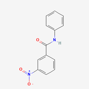 molecular formula C13H10N2O3 B1595069 3-硝基苯甲酰苯胺 CAS No. 2243-73-4