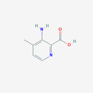 molecular formula C7H8N2O2 B1596556 3-氨基-4-甲基吡啶-2-甲酸 CAS No. 53636-30-9