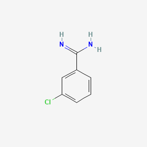 B1596613 3-Chloro-benzamidine CAS No. 25412-62-8