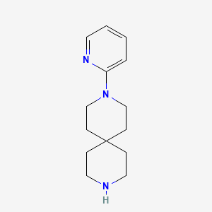 molecular formula C14H21N3 B1598254 3-(Pyridin-2-yl)-3,9-diazaspiro[5.5]undecane CAS No. 959493-37-9