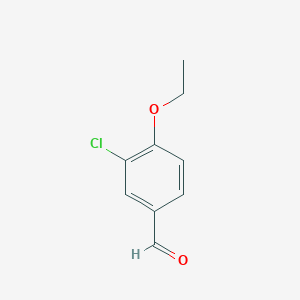 molecular formula C9H9ClO2 B1598427 3-氯-4-乙氧基苯甲醛 CAS No. 99585-10-1