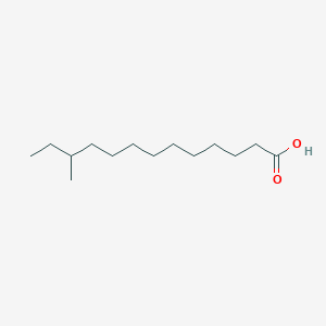 molecular formula C14H28O2 B1598504 11-甲基十三酸 CAS No. 29709-05-5