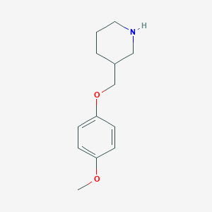 molecular formula C13H19NO2 B1598826 3-[(4-Methoxyphenoxy)methyl]piperidine CAS No. 405060-20-0