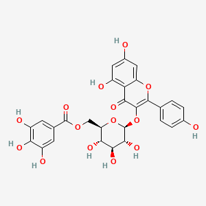 molecular formula C28H24O15 B1599023 Kaempferol 3-O-(6''-galloyl)-beta-D-glucopyranoside CAS No. 56317-05-6