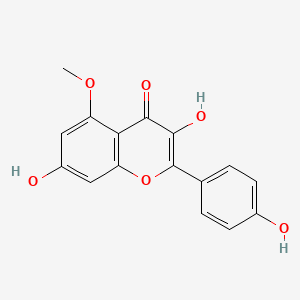 molecular formula C16H12O6 B1599250 Kaempferol 5-methyl ether CAS No. 22044-80-0
