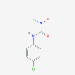 molecular formula C9H11ClN2O2 B160109 单噁嗪 CAS No. 1746-81-2
